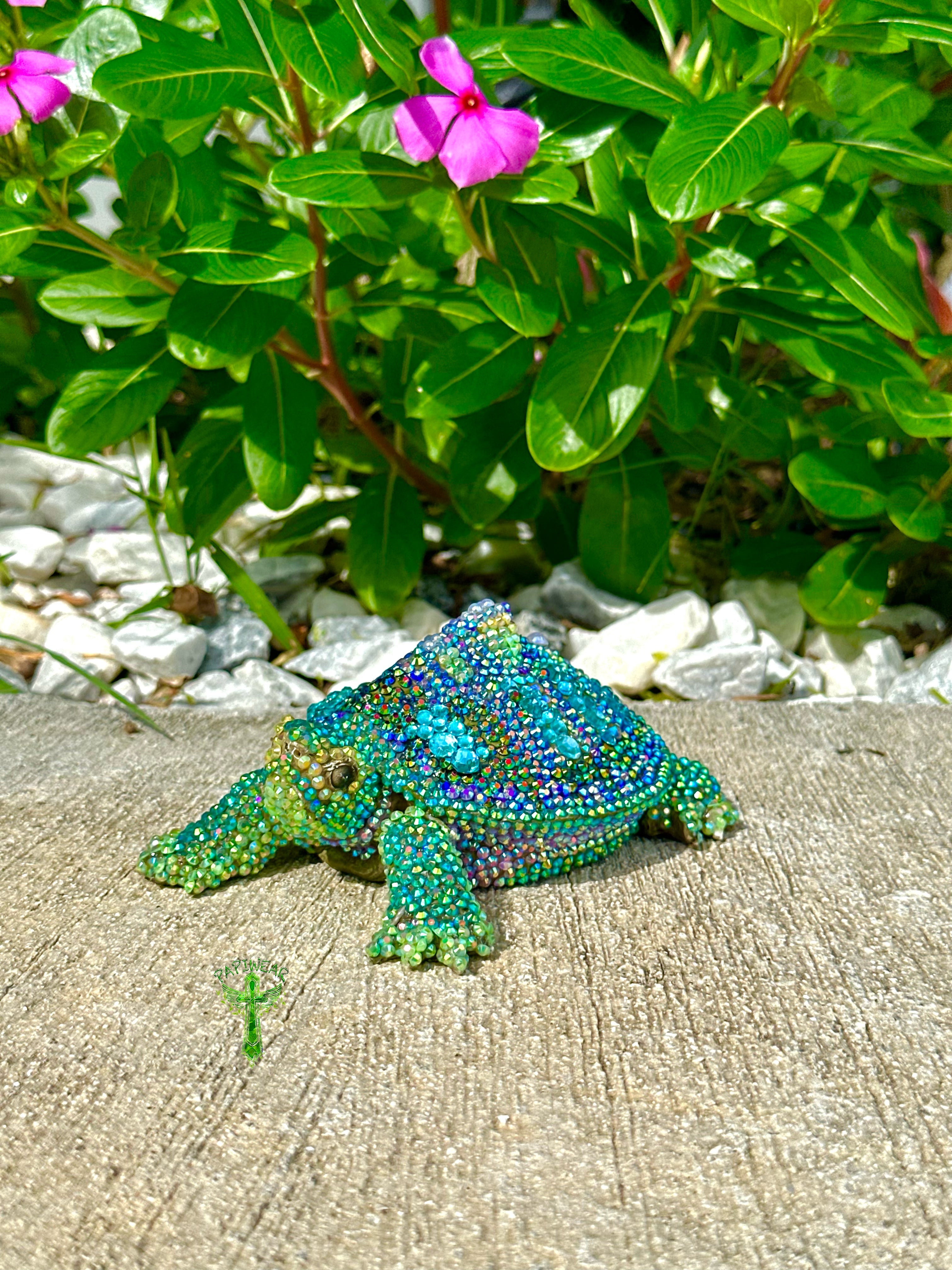 Magical Turtle - PAPI WEAR – PAPIWEAR